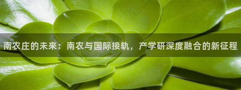 电子PG游戏解说