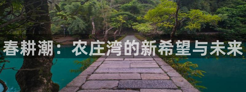 pg电子游戏官网源码