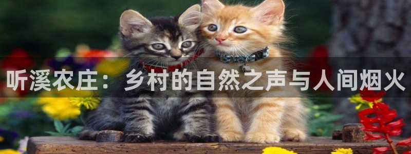 pg电子藏分游戏