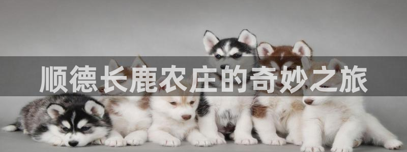 亚博pg电子怎么玩