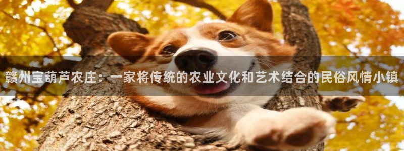 pg电子免费单机游戏