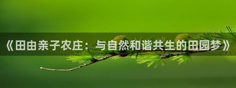 PG电子视频在哪看