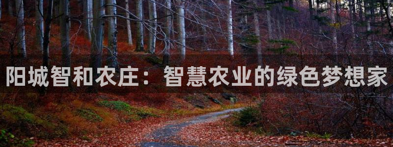 pg电子游戏到底公正吗