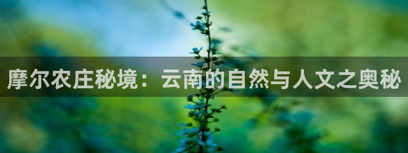 pg电子官方首页311