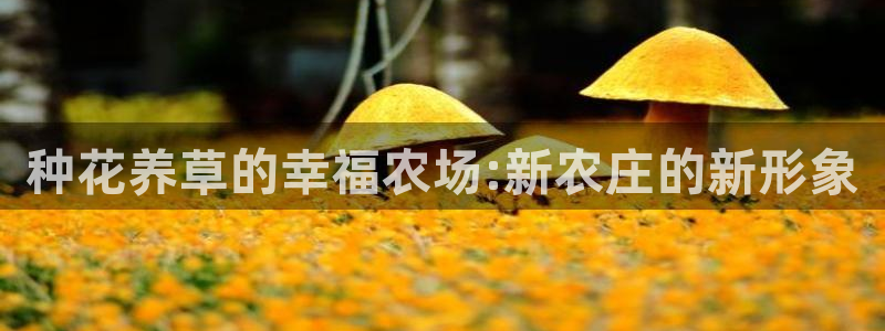 PG电子横财来了