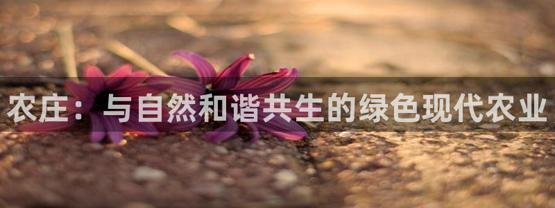 pg电子游戏寻宝黄金城