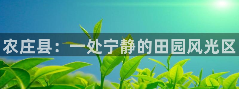 pg电子qq群