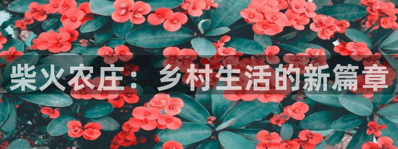 PG电子爱尔兰精灵免费