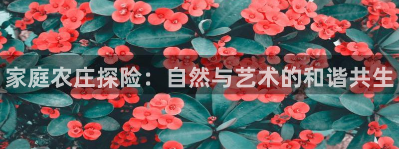 pg电子黄金城视频