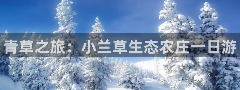 pg电子日月星辰