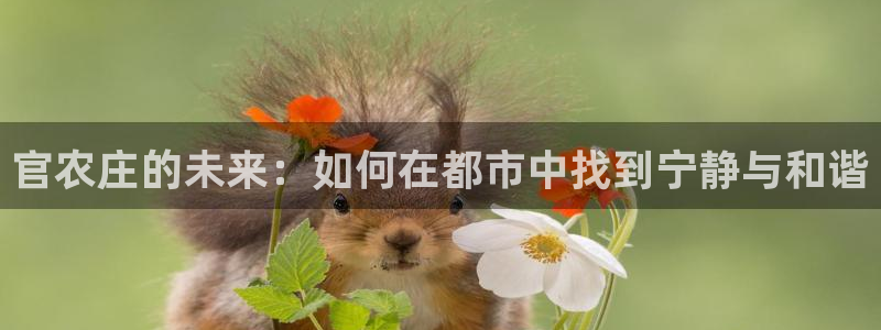 pg电子摇钱树爆分平台