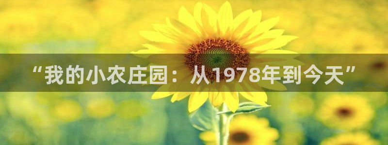 pg电子什么时候有水