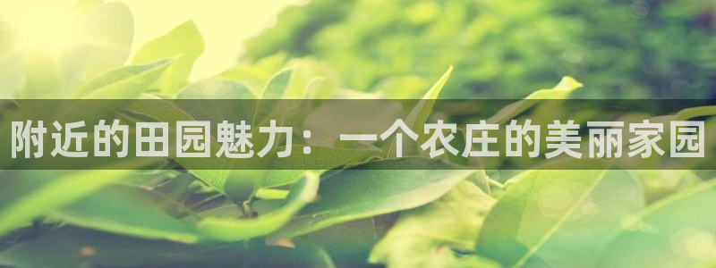 pg电子出分时间