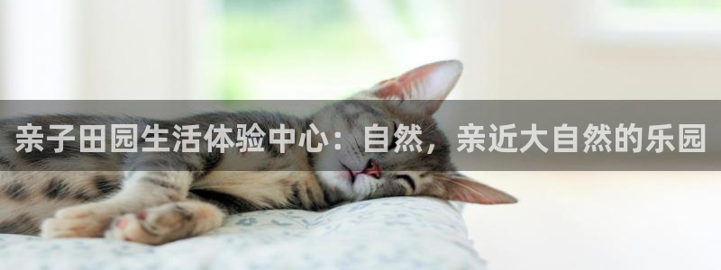 pg电子不凡