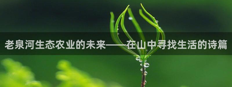 pg电子美杜莎爆分