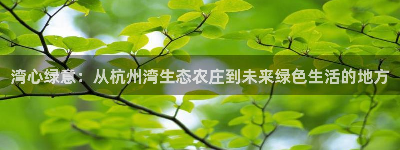 pg电子视频麻将胡了2