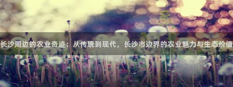 pg电子娱乐官网版