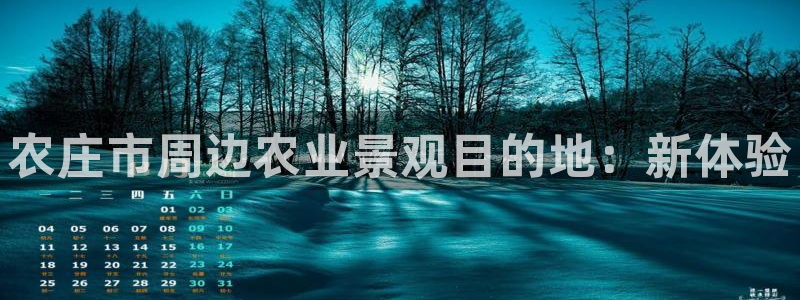 pg双喜临门电子视频