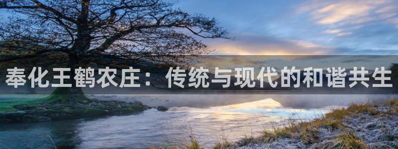 pg电子夺宝试玩网站