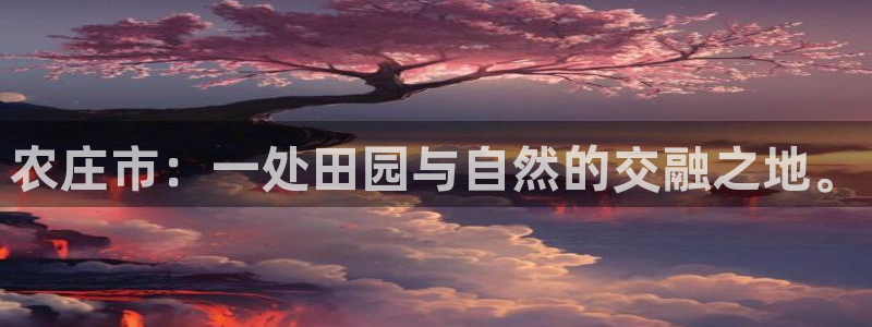pg电子官方网站入口