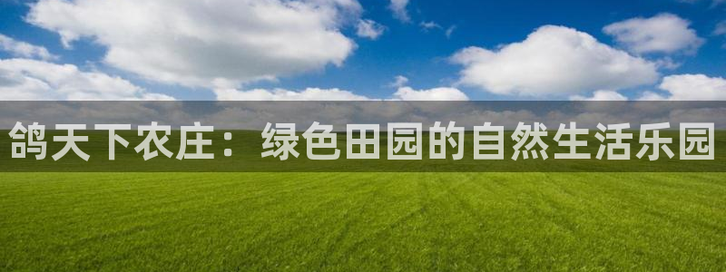 pg电子官方下载