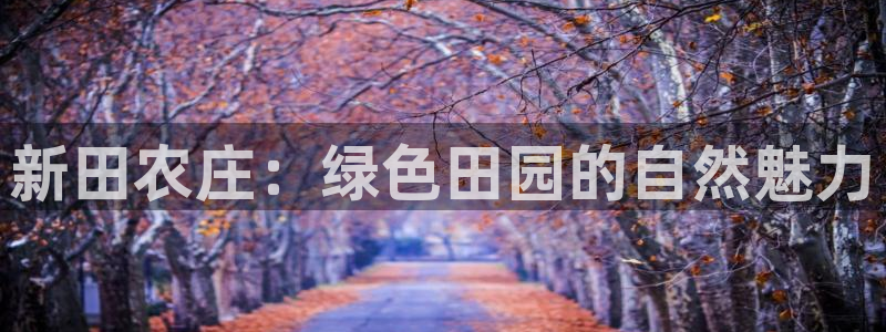 pg电子视频麻将胡了2