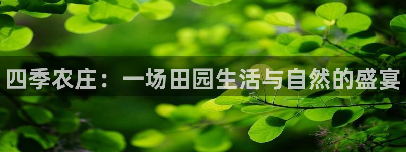 pg电子迎财神改代码