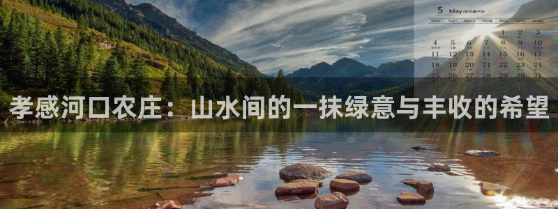 pg电子在线官网