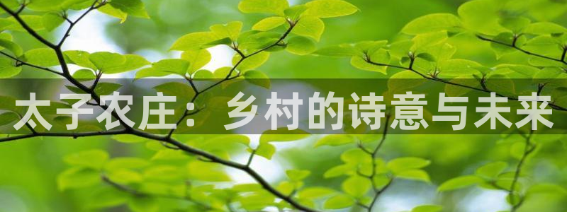pg电子不给提现