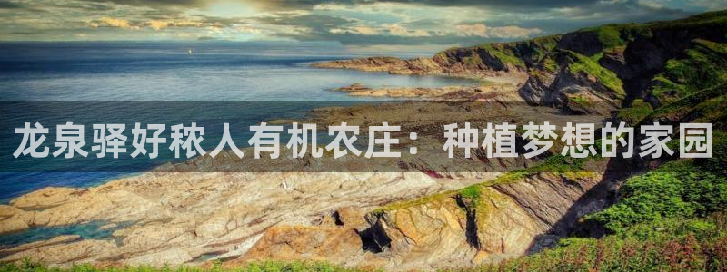 pg电子招财猫游戏爆分