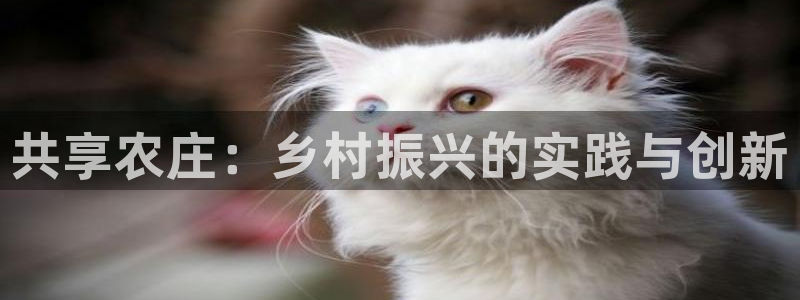 pg电子冰雪大冲关视频