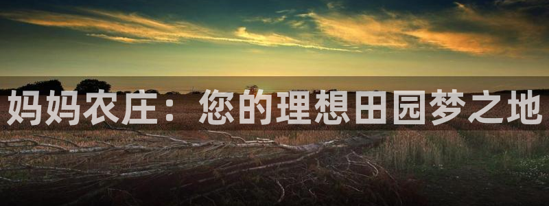 pg电子寻宝黄金城视频