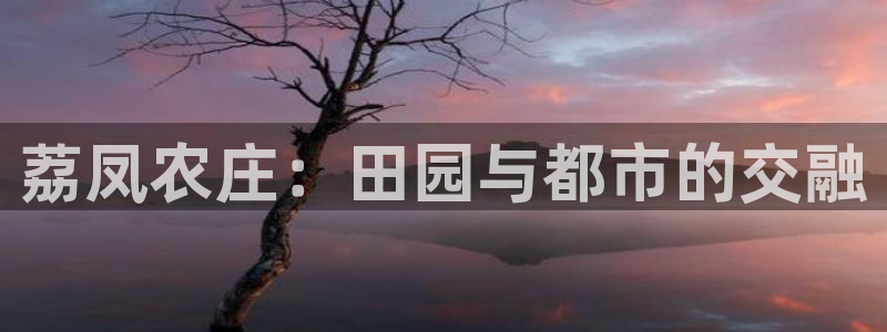 pg电子软件下载