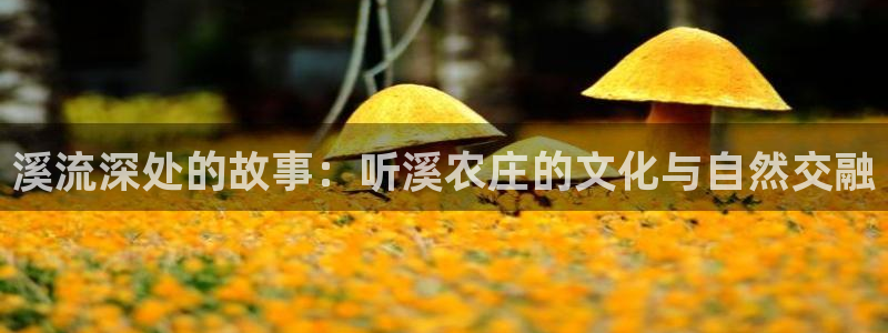 PG电子怎么玩出爆分