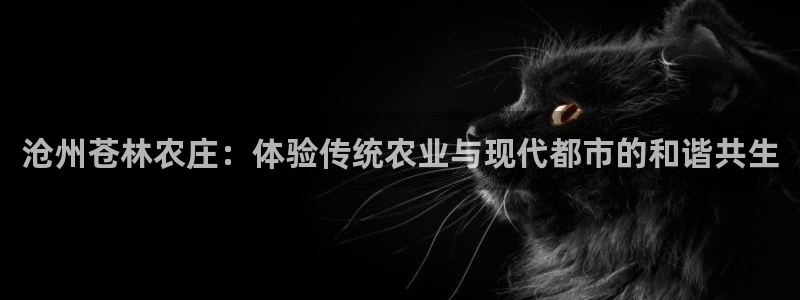 PG电子游戏入口