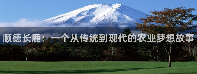 pg电子平台网站大全