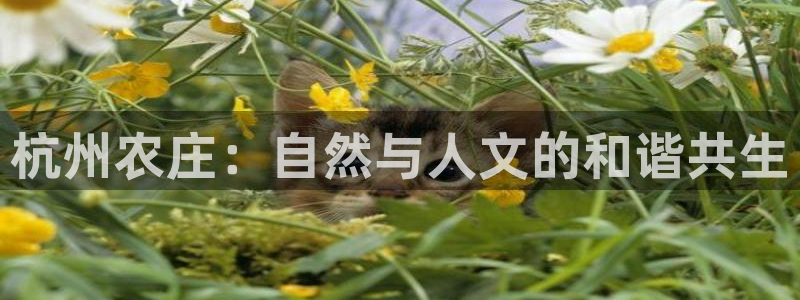 pg电子埃及艳后爆分