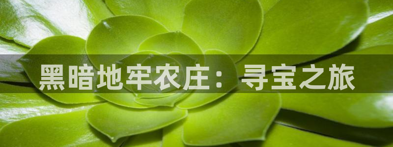 pg电子技巧攻略