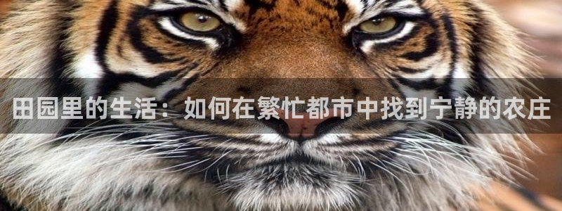 pg电子游戏试玩模式