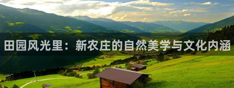 pg电子麻将胡消消乐