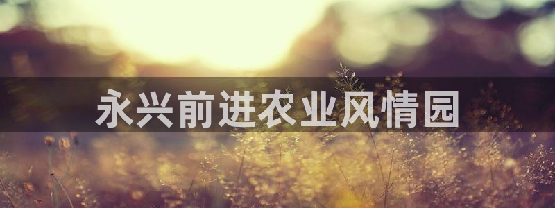 pg电子官方网站