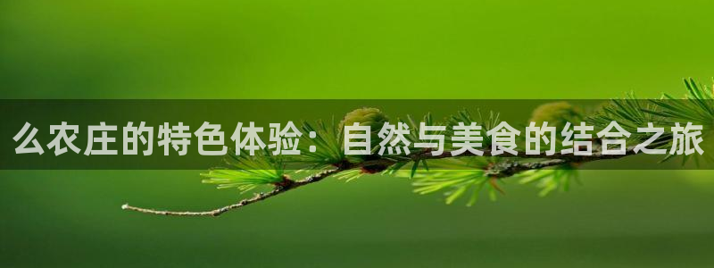 玩pg电子犯法吗