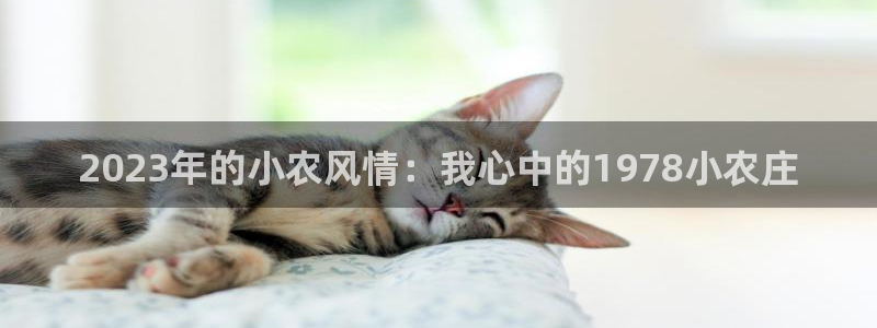 体育娱乐pg电子