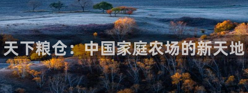 pg电子娱乐爆分视频