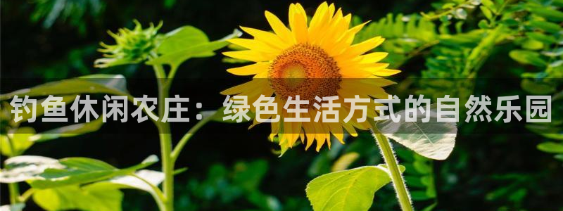pg电子吃分破解