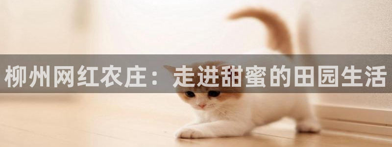 pg电子游戏象财神技巧