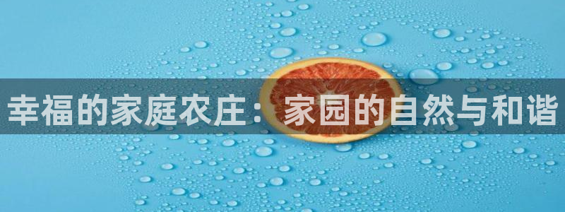 pg电子游戏模拟器