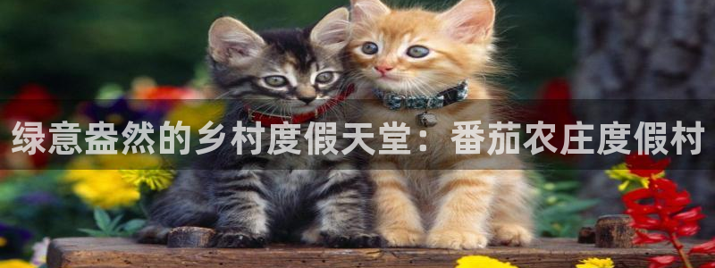 下载pg电子