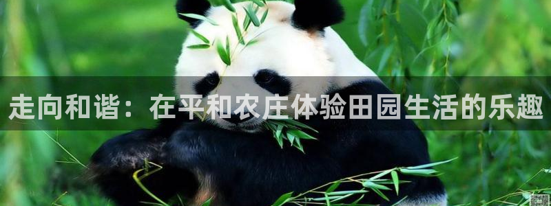 pg电子寻龙探怎么吃分