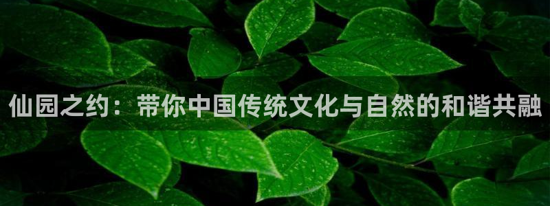 金沙麻将胡了pg电子